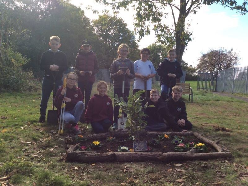 Other image for Tributes expected to grow as community garden proves popular
